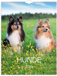 Mayland Vægkalender Hunde 2025 nr. 25066320