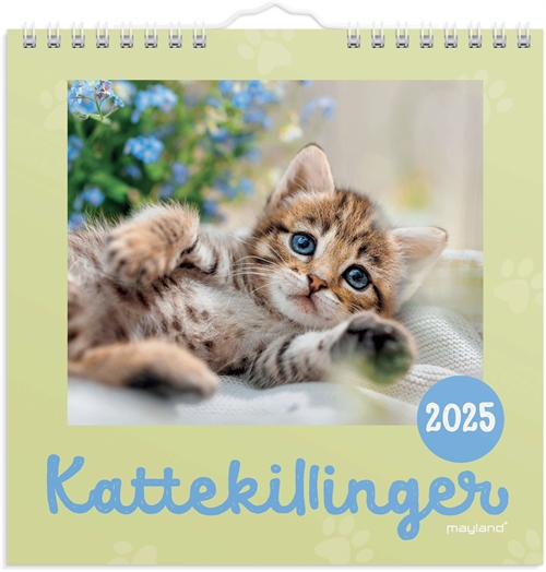 Mayland Vægkalender mini Kattekillinger 2025 nr. 25066400