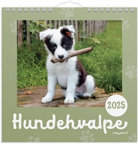 Mayland Vægkalender mini Hundehvalpe 2025 nr. 25066410